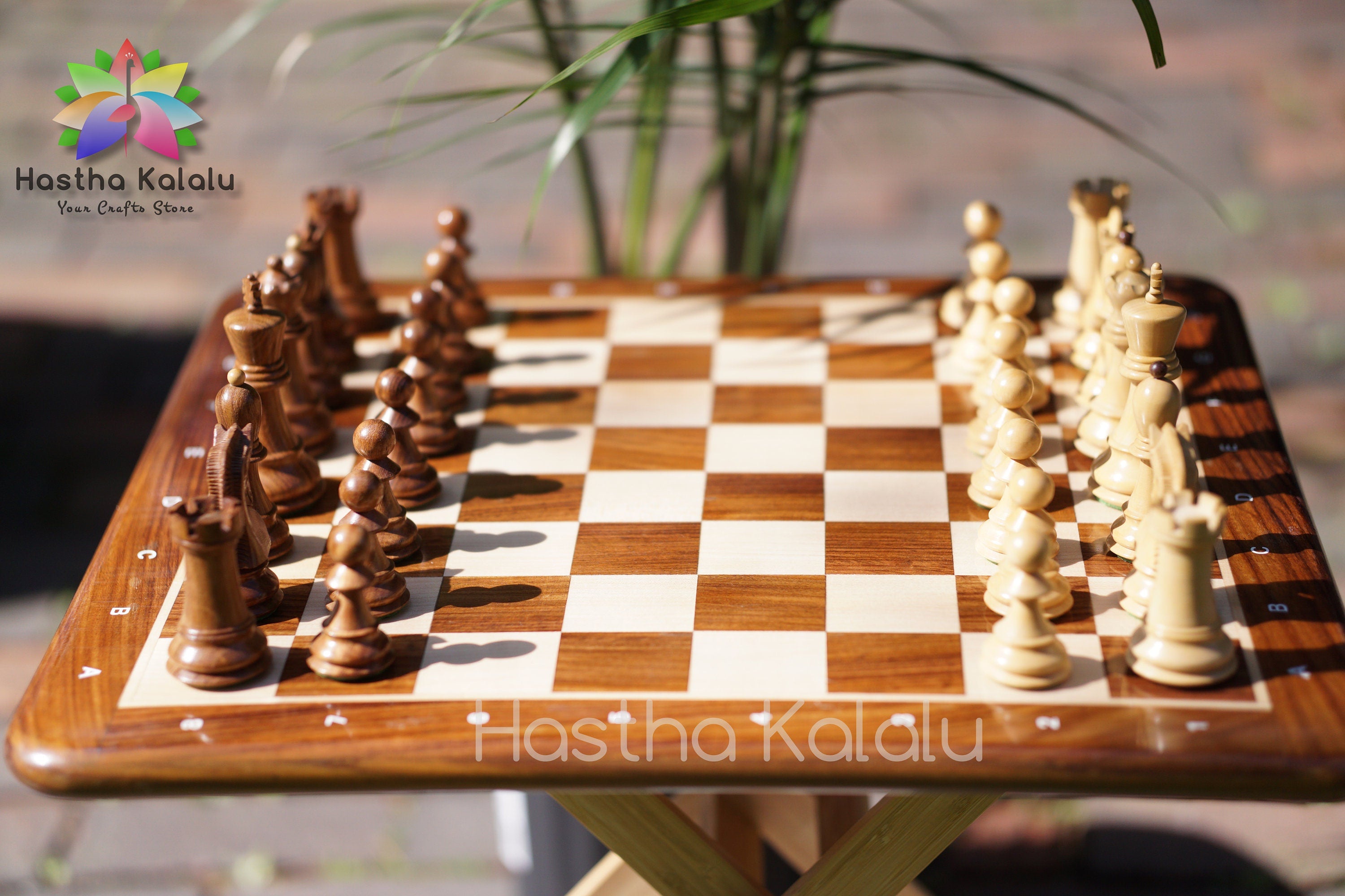 Combo Chess Set | 1950 Reproduced Zagreb Chess Pieces in Rosewood with Rosewood Board
